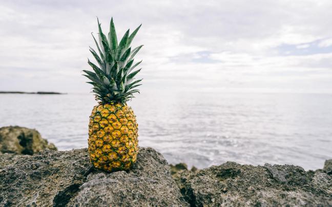 Pineapple HD Desktop Wallpaper 66331 1920x1200px
