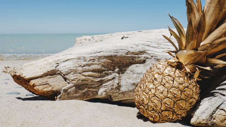 photography, Pineapples, Beach, Landscape Wallpapers HD \/ Desktop and 