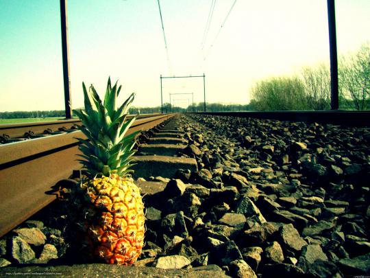 [48+] Pineapple Desktop Wallpaper 