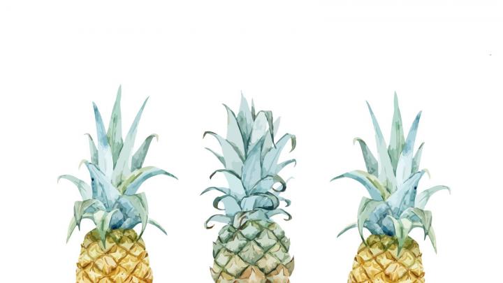 Pineapple Desktop Wallpapers - Top Free Pineapple Desktop Backgrounds 