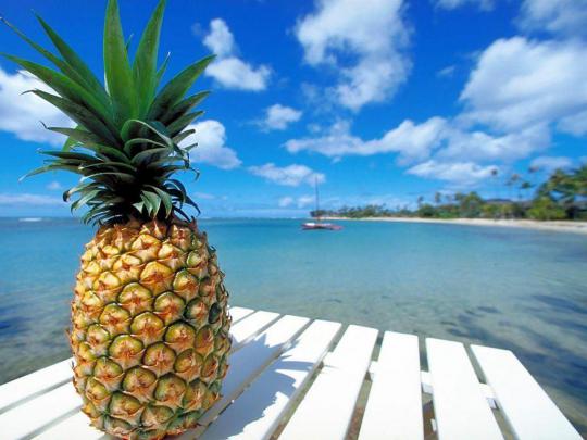 Pineapple HD Wallpapers