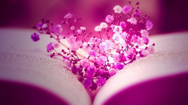 Pink Flower Desktop Wallpaper \u00b7\u2460 