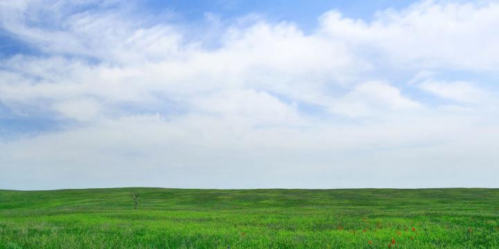 6 Desktop Wallpapers to Increase Your Productivity | MakeUseOf