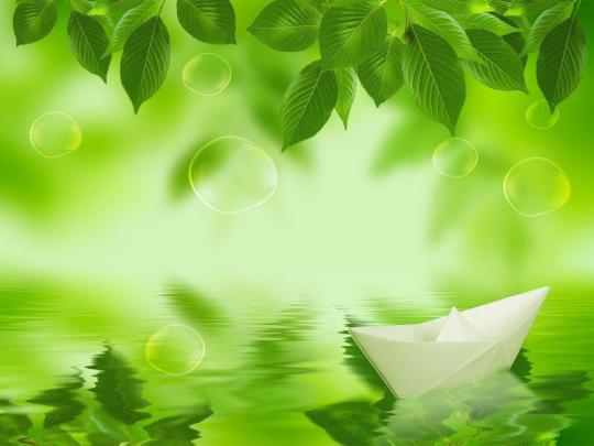Professional Desktop Wallpapers