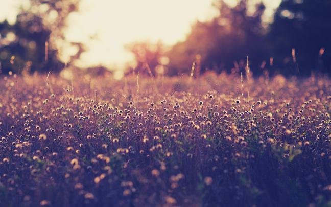 Desktop Wallpaper Macbook Pro (69+ images)