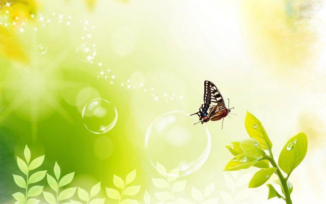 Professional Desktop Wallpapers