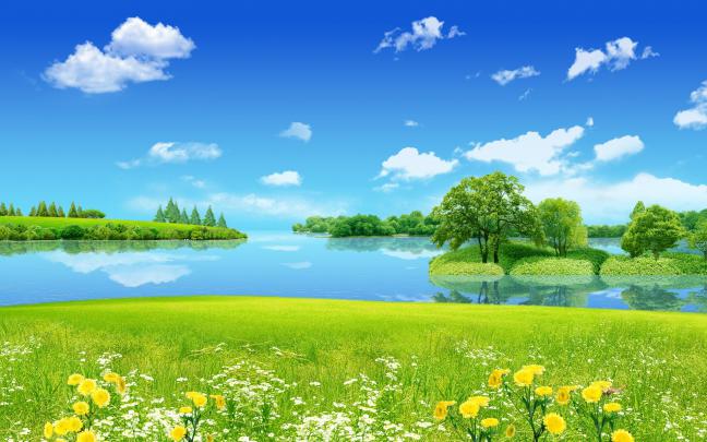 Professional Desktop Wallpaper \u00b7\u2460 
