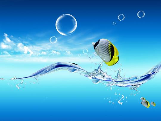 Professional Desktop Wallpapers