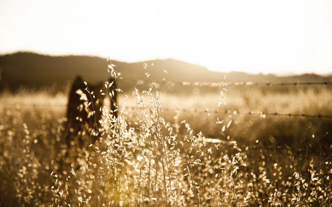 rustic pictures - HD Desktop Wallpapers