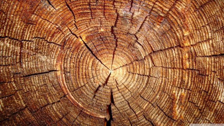 Rustic Wallpapers (53+ background pictures)
