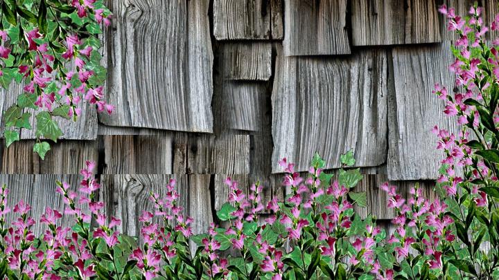 Rustic Spring Wallpapers