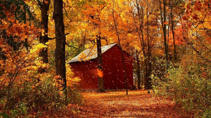 Rustic Autumn Scenery Wallpapers - Top Free Rustic Autumn Scenery 