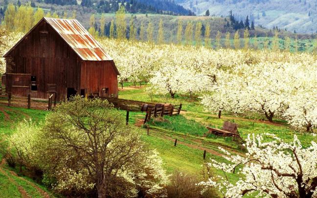 Rustic Spring Wallpapers