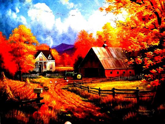 autumn, Fall, Landscape, Nature, Tree, Forest, Leaf, Leaves, Farm 