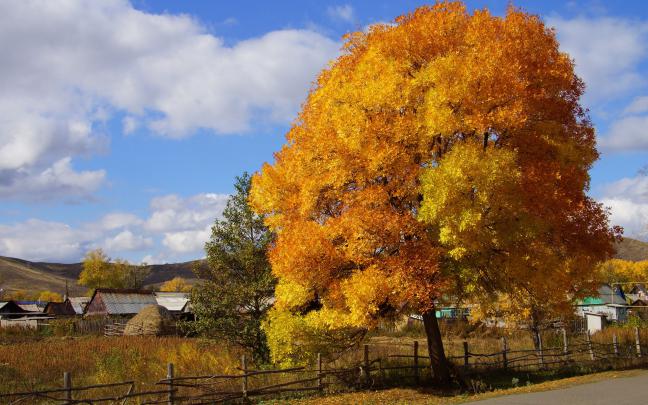 roads, Trees, Autumn, Fall, Rustic, Houses, Architecture, Sky, Clouds 