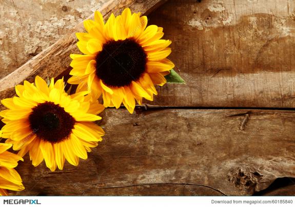 15+ Rustic Summer Desktop Wallpaper - Basty Wallpaper