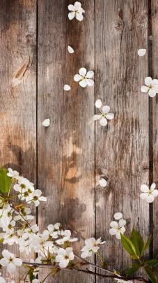 Rustic Desktop Wallpaper - Wallpaper Download