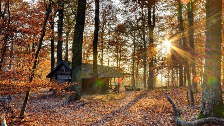 Rustic Background Wallpaper (47+ images)