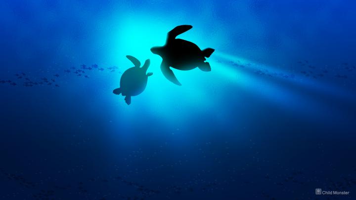Baby Sea Turtle Wallpaper (55+ images)