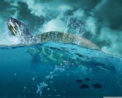 Sea Turtles Desktop Wallpaper (60+ images)