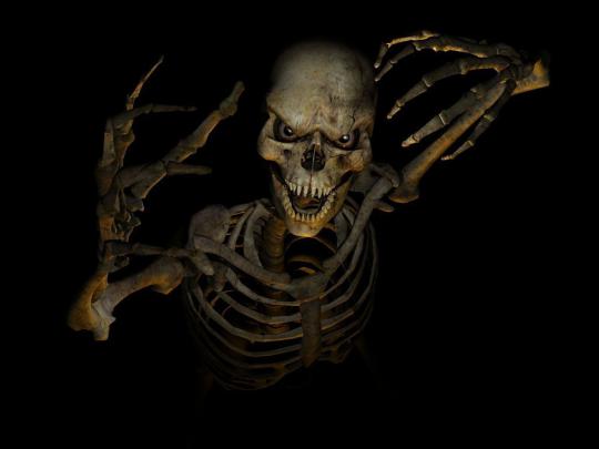 wallpaper: Skeleton Wallpapers