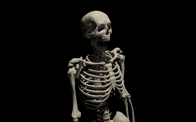 Skeleton Wallpapers (61+ background pictures)