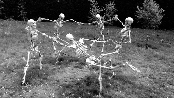 skeleton, Dancing HD Wallpapers \/ Desktop and Mobile Images \u0026 Photos