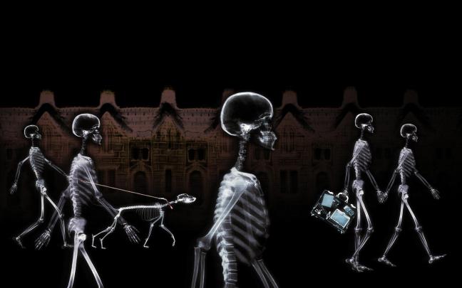 Skeleton HD Wallpaper | Background Image | 1920x1200 | 213522 