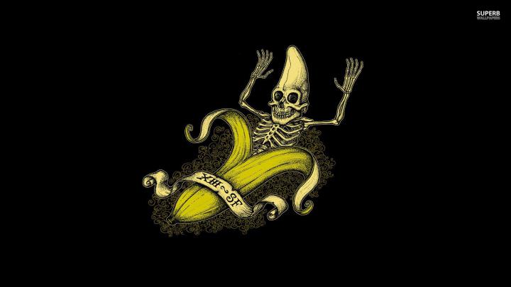 Skeleton Wallpapers for Desktop 2018 (43+ images)