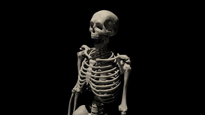 Halloween Skeleton Wallpaper (65+ images)