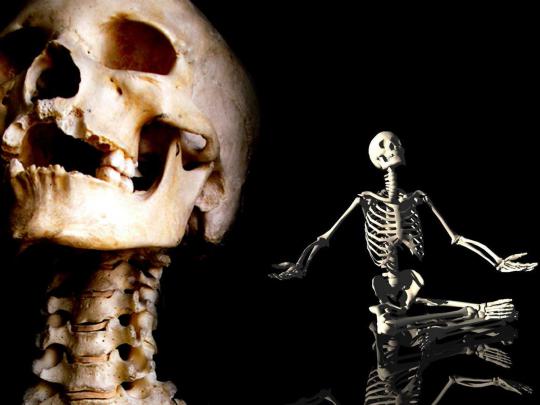 wallpapers: Skeleton Wallpapers