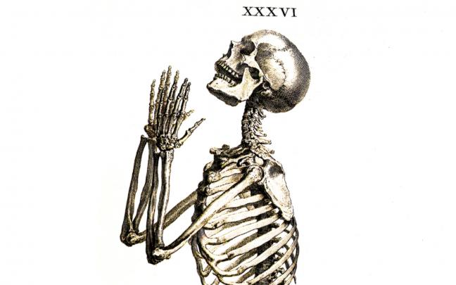 Dark Skeleton Wallpaper and Background Image | 1680x1050