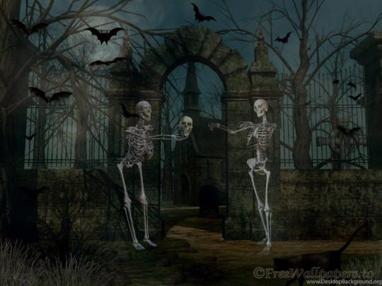 Skeleton Halloween Wallpapers