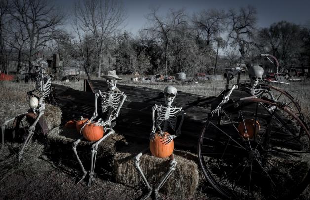Halloween, Humor, Skeleton, Selective coloring Wallpapers HD \/ Desktop 