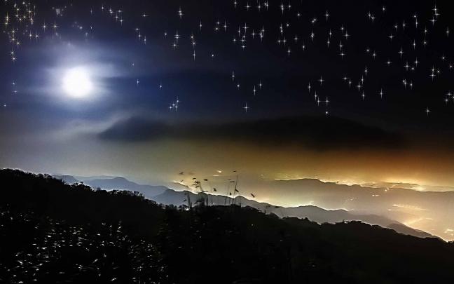 Beautiful Starry Night Sky Wallpapers