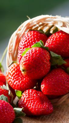 Strawberry Wallpaper (62+ images)