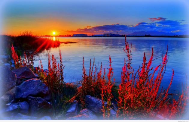 Summer Pictures for Desktop Background \u00b7\u2460 