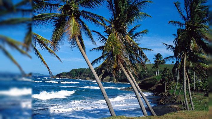 Free Summer Wallpapers For Desktop