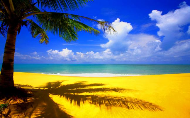 Summer Wallpaper HD Free download