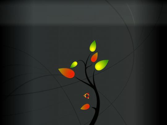 Ubuntu Desktop Wallpapers