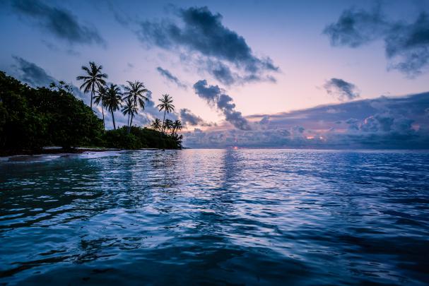 MacBook Wallpapers: Free HD Download [500+ HQ] | Unsplash