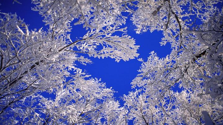 Free download Stars HD Cool Wallpaper HD 1080P [1600x900] for your 