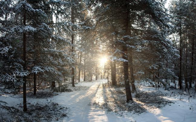 Winter Wonderland Desktop Wallpapers