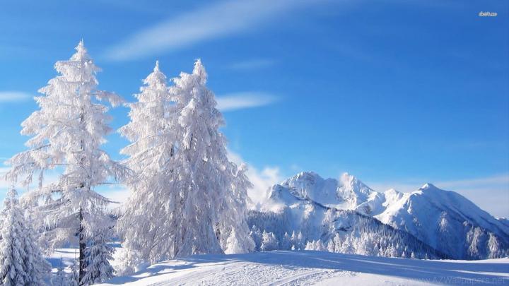Winter Wonderland Desktop Background \u00b7\u2460 