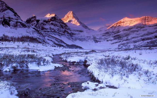 Winter Wonderland Backgrounds