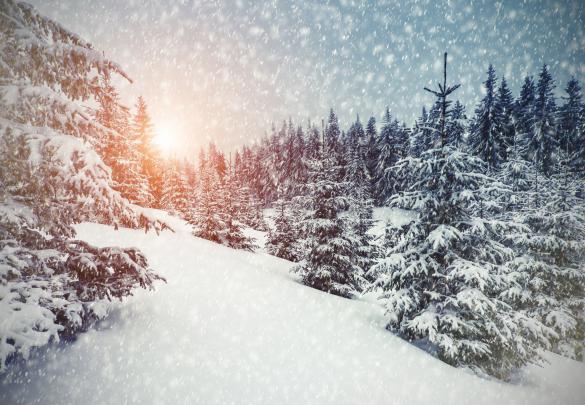 Aesthetic Winter Wonderland Wallpapers
