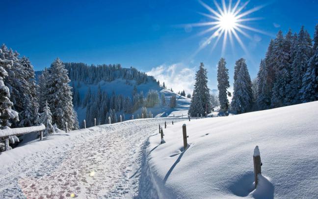 Winter Wonderland Desktop Background \u00b7\u2460 