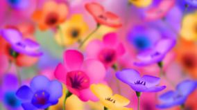 Desktop Wallpaper Hd 1920x1080 Flowers