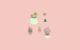 Pink Aesthetic Desktop Wallpaper