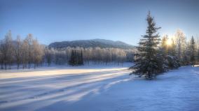 Winter Wonderland Desktop Wallpaper
